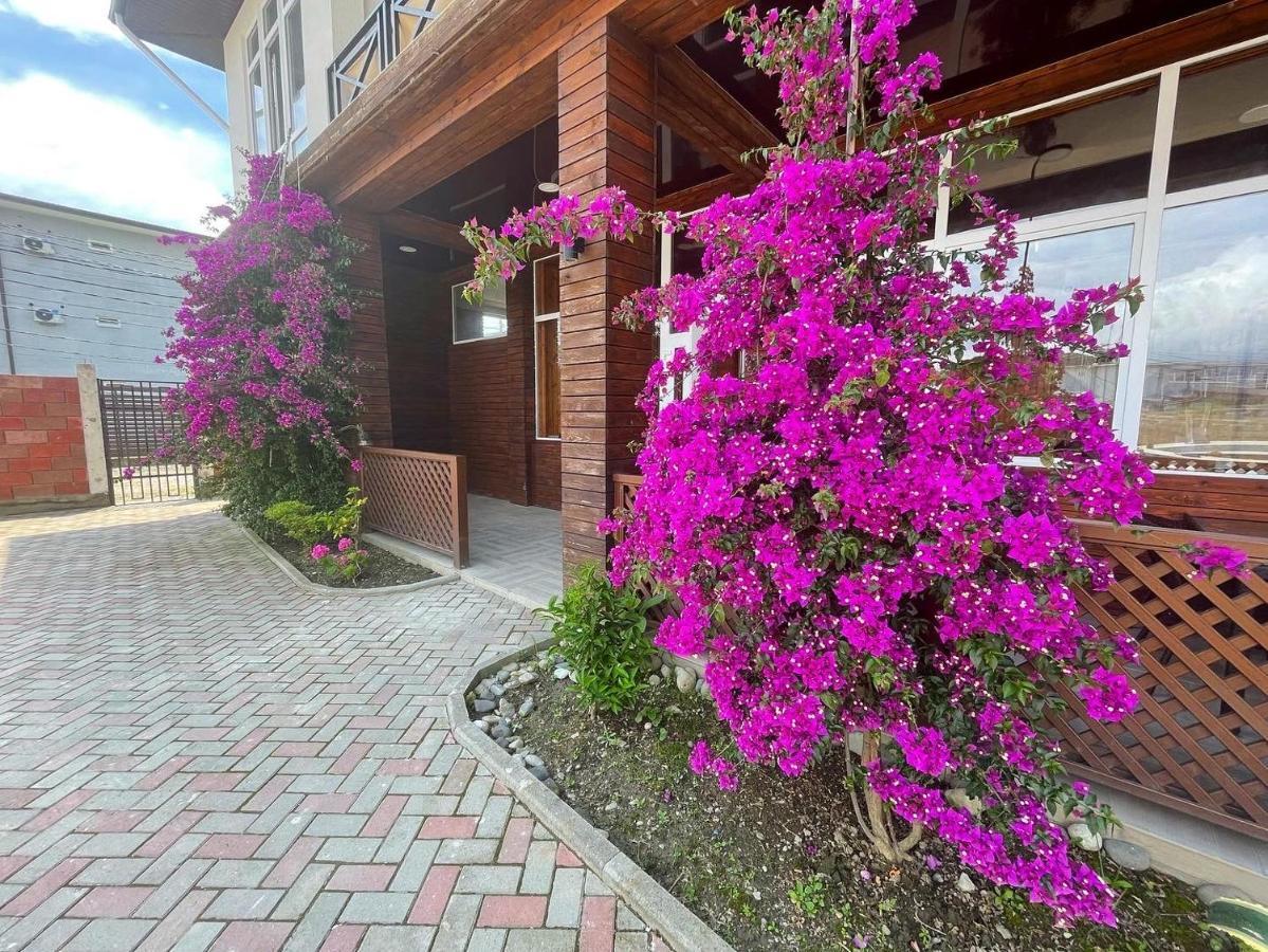 Бугенвиллея Lidzava Exterior foto